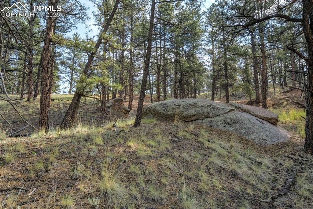 39 Reed Drive Florissant CO 80816