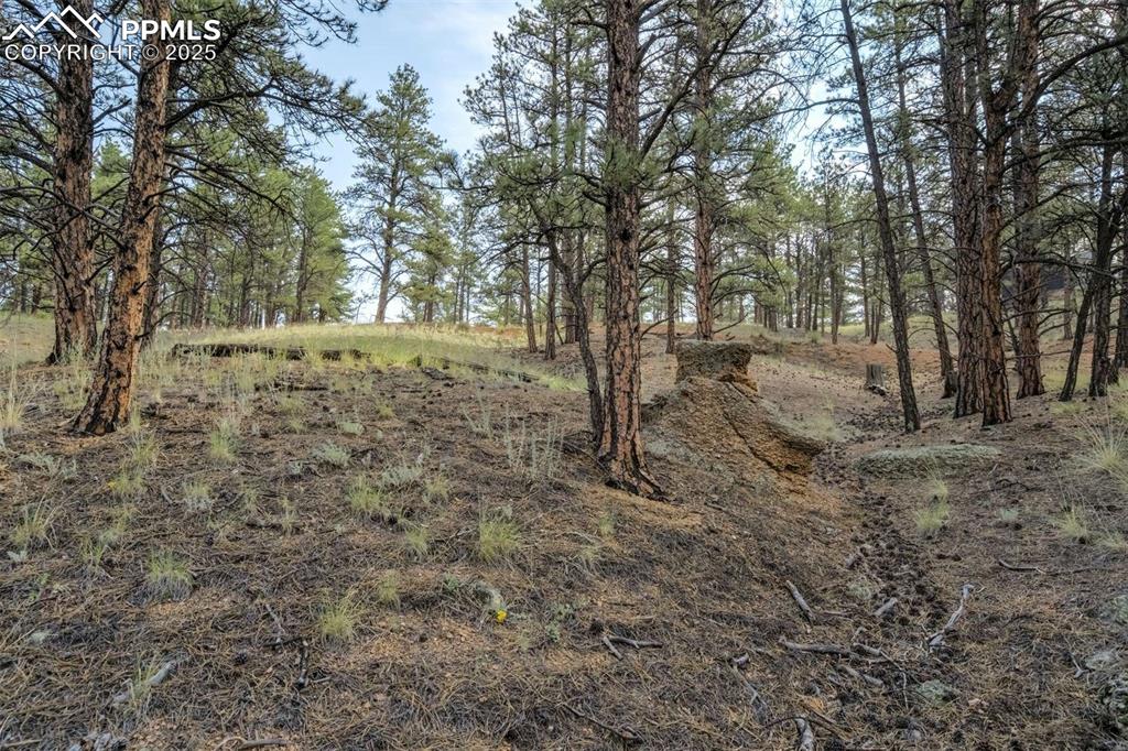 39 Reed Drive Florissant CO 80816