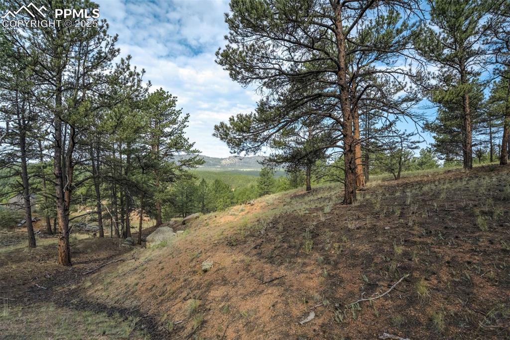 39 Reed Drive Florissant CO 80816