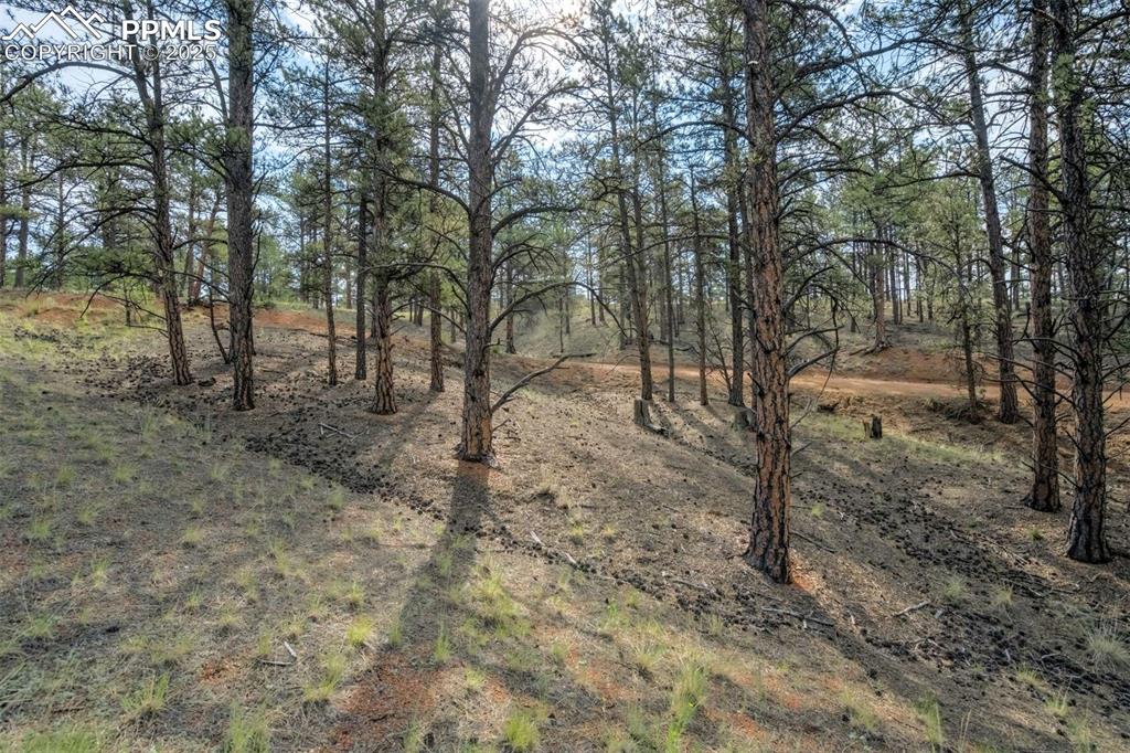 39 Reed Drive Florissant CO 80816
