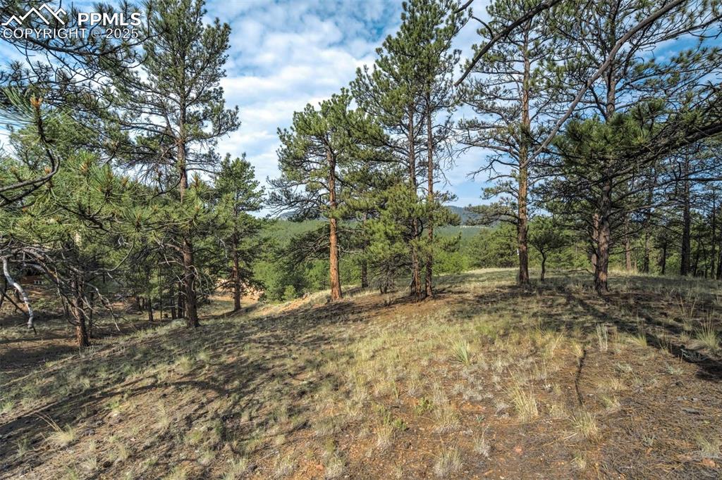 39 Reed Drive Florissant CO 80816