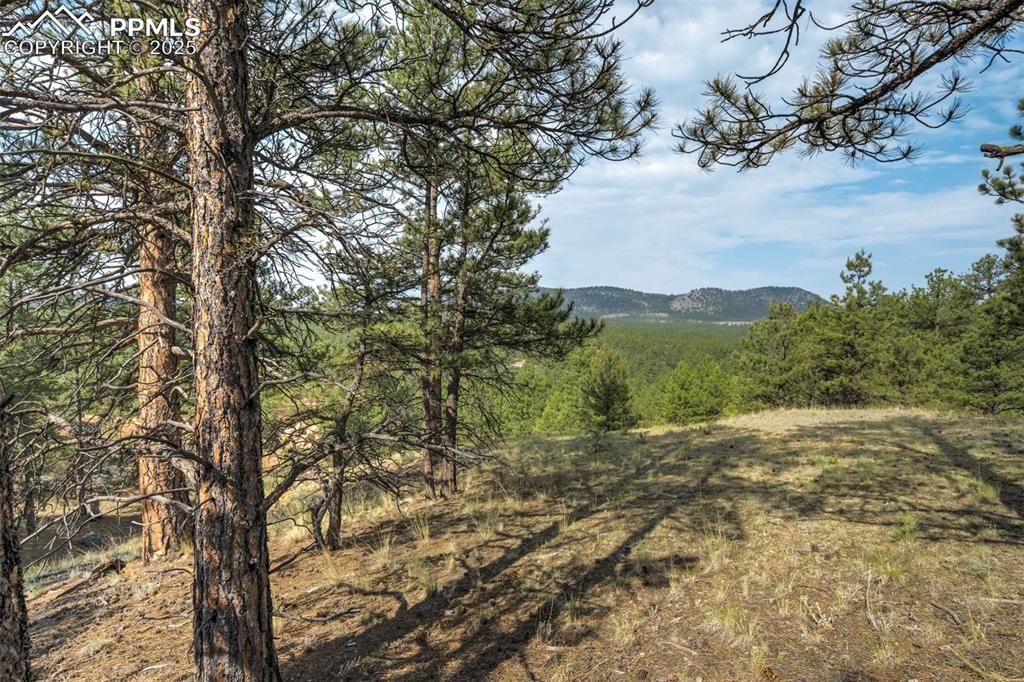 39 Reed Drive Florissant CO 80816