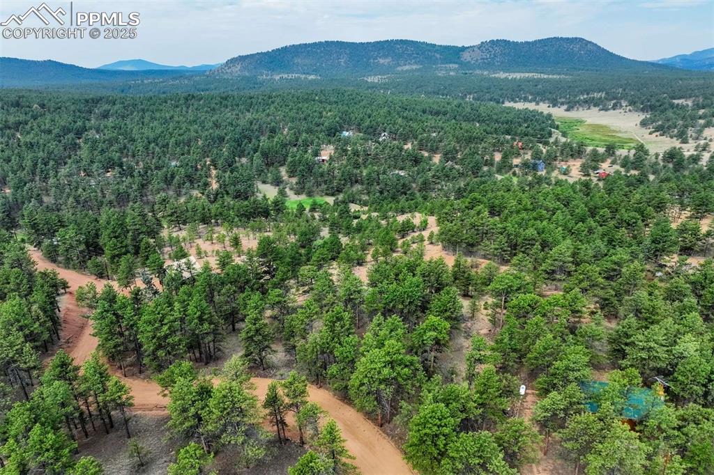 39 Reed Drive Florissant CO 80816
