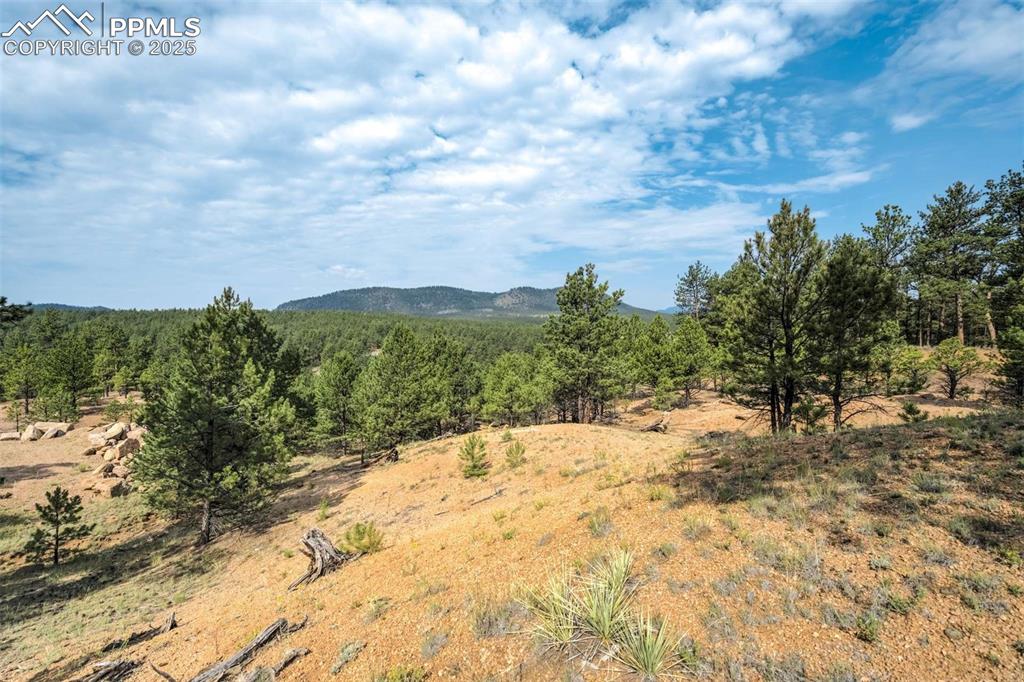 39 Reed Drive Florissant CO 80816