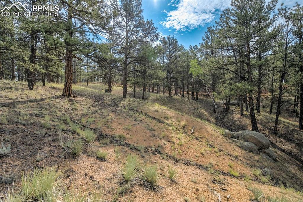 39 Reed Drive Florissant CO 80816