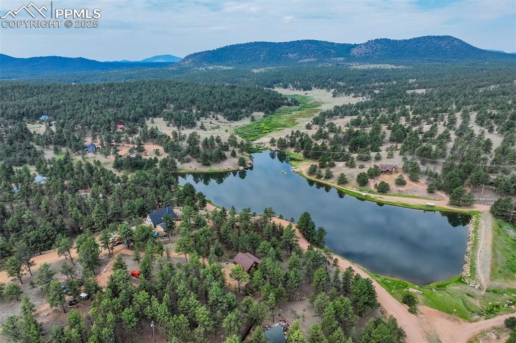 39 Reed Drive Florissant CO 80816