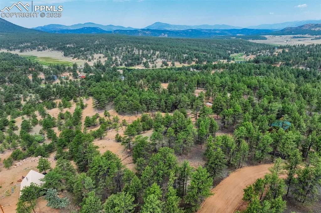 39 Reed Drive Florissant CO 80816