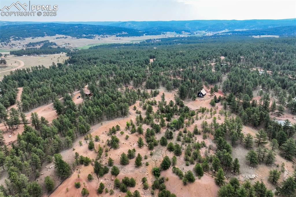 39 Reed Drive Florissant CO 80816