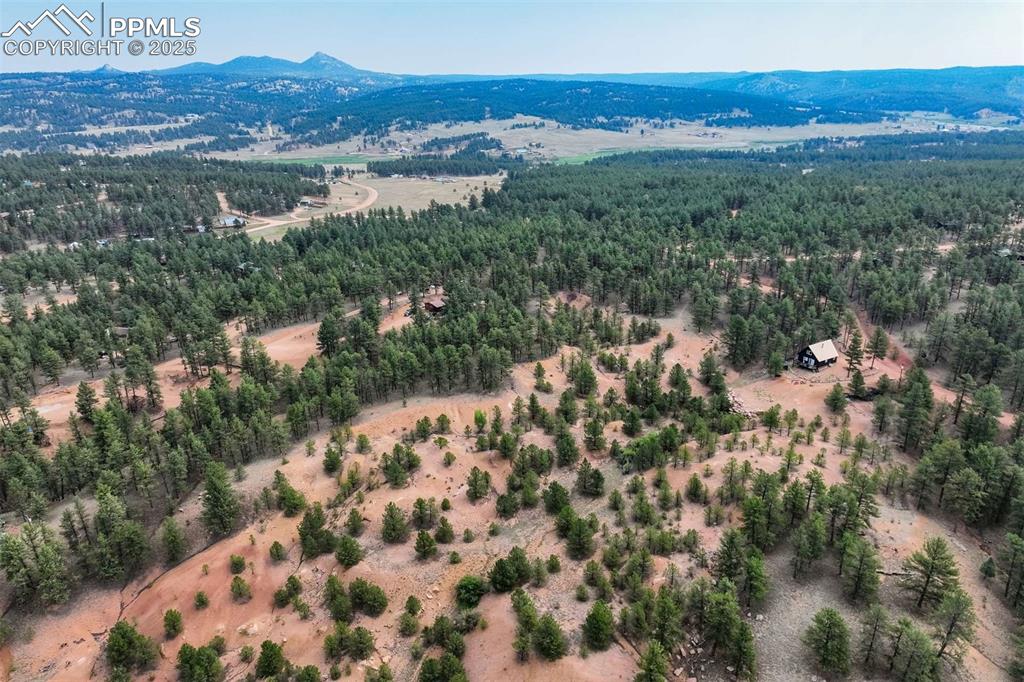 39 Reed Drive Florissant CO 80816