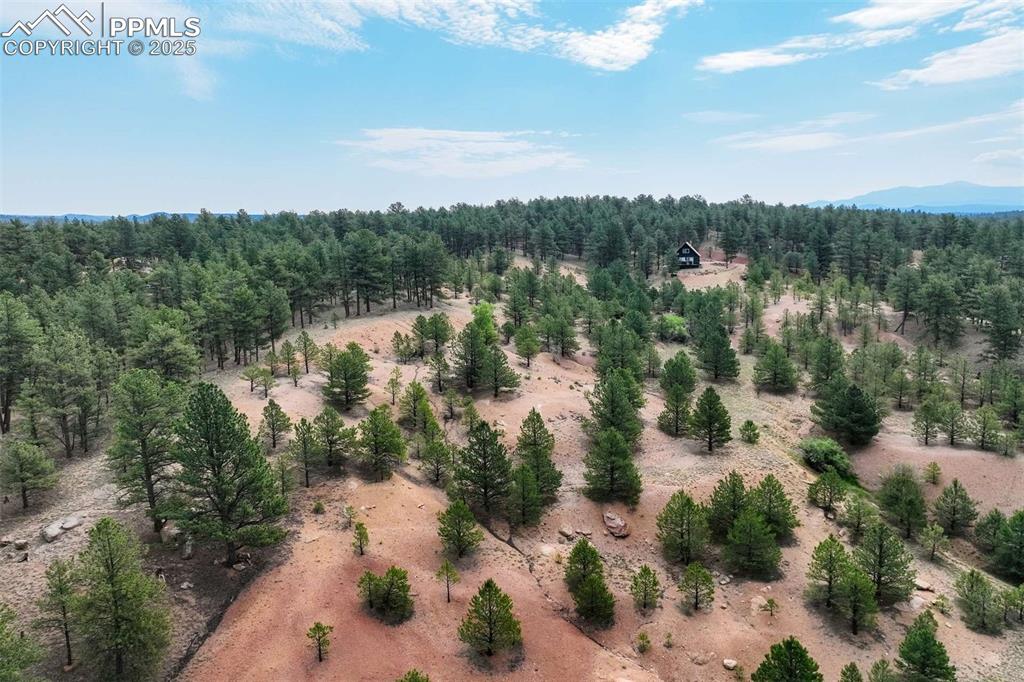 39 Reed Drive Florissant CO 80816