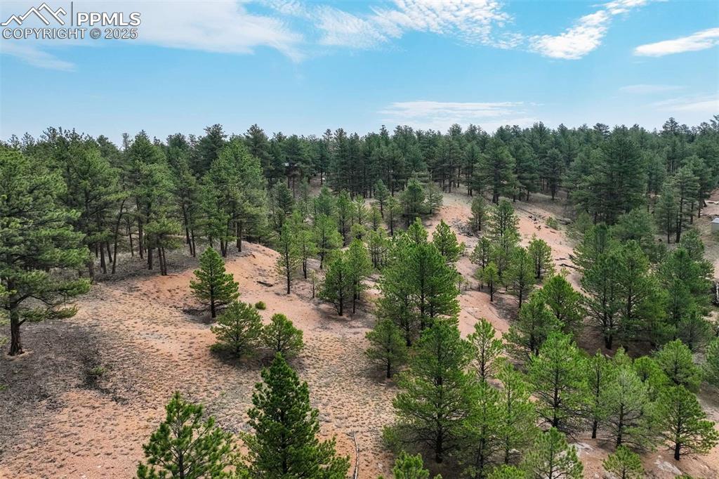 39 Reed Drive Florissant CO 80816