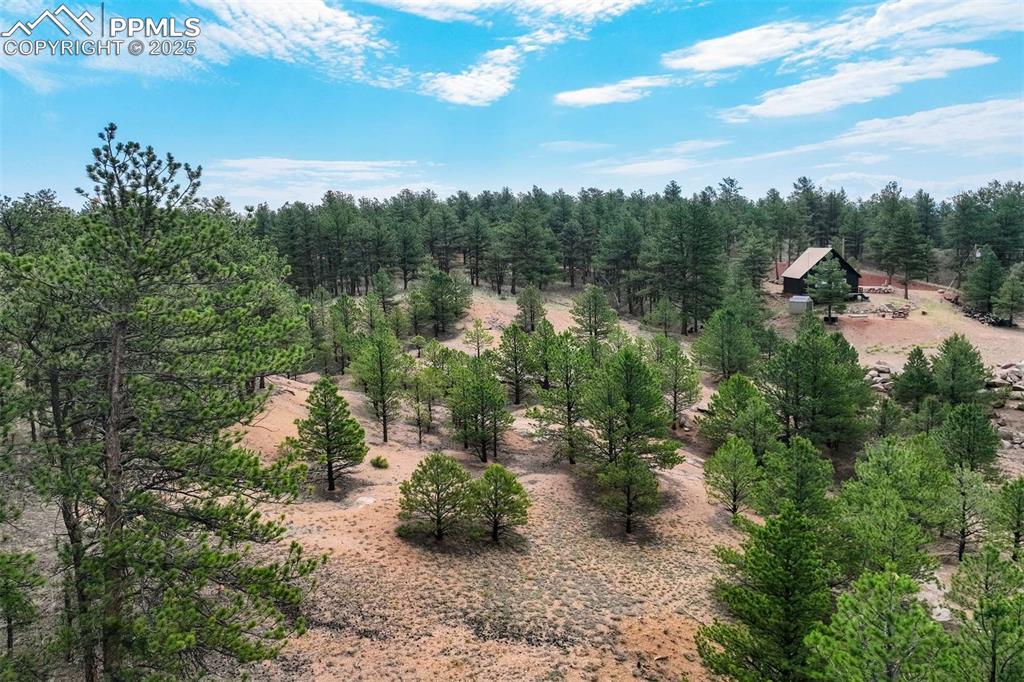39 Reed Drive Florissant CO 80816