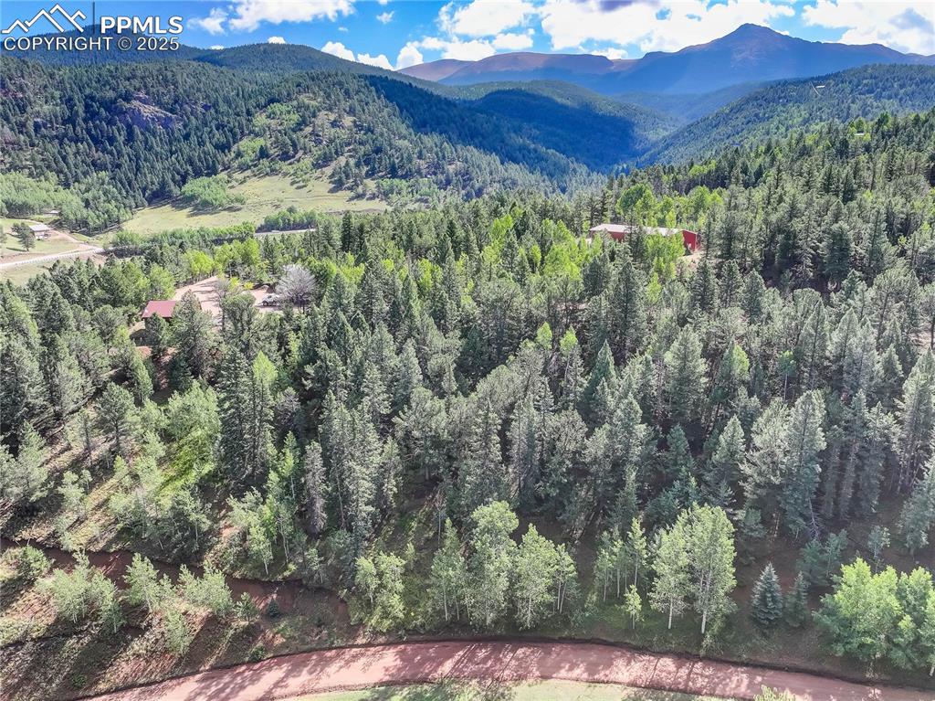 490 Willow Road Divide CO 80814