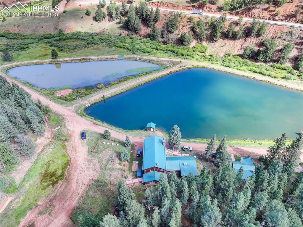490 Willow Road Divide CO 80814