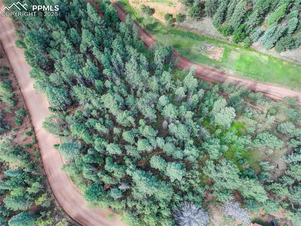490 Willow Road Divide CO 80814