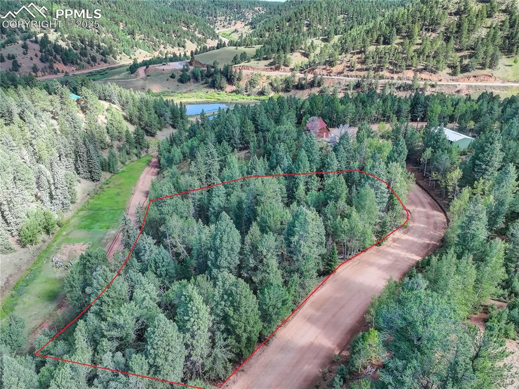 490 Willow Road Divide CO 80814