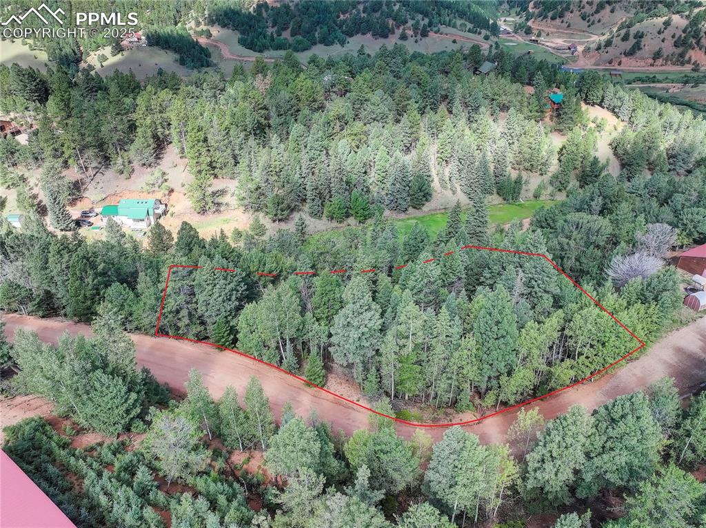 490 Willow Road Divide CO 80814