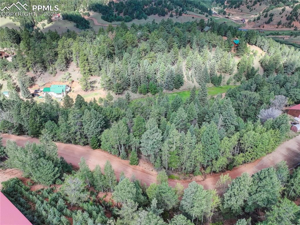 490 Willow Road Divide CO 80814