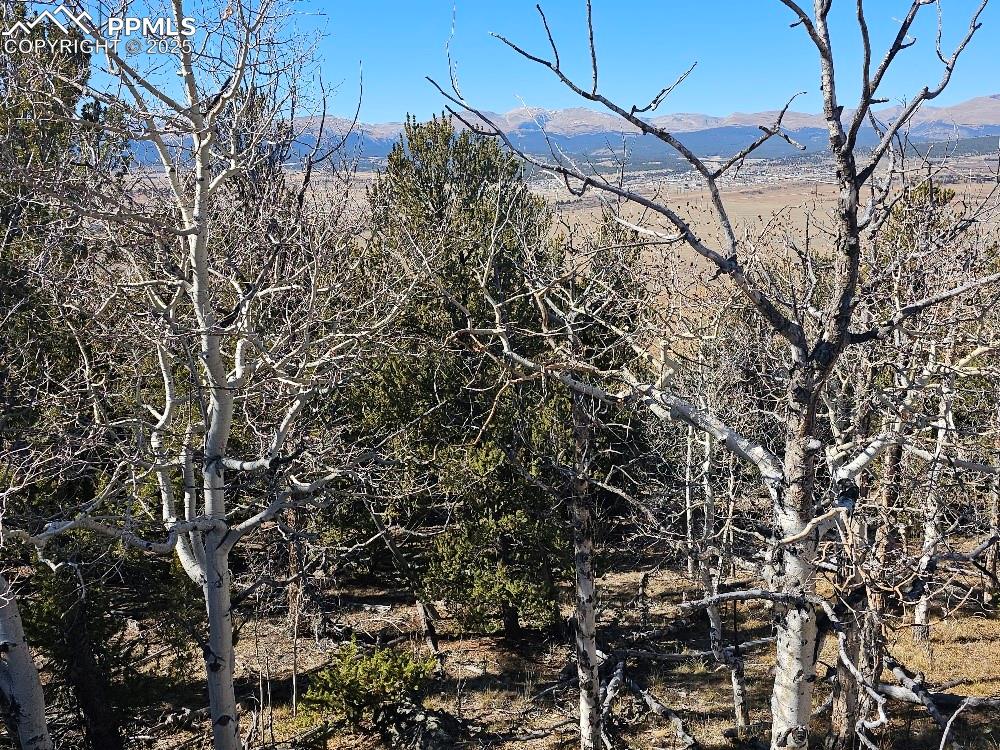 5585 Middle Fork Vista Fairplay CO 80440