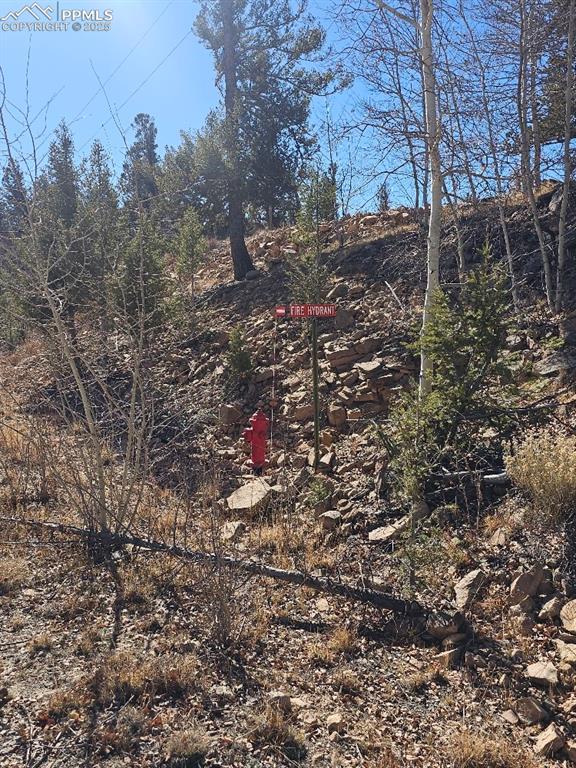 5585 Middle Fork Vista Fairplay CO 80440