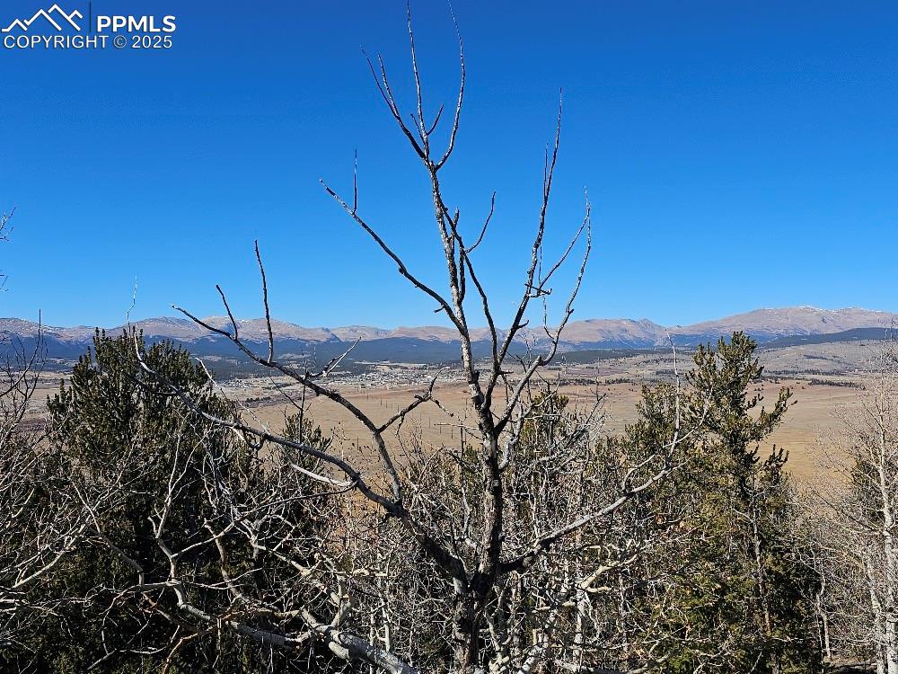 5585 Middle Fork Vista Fairplay CO 80440