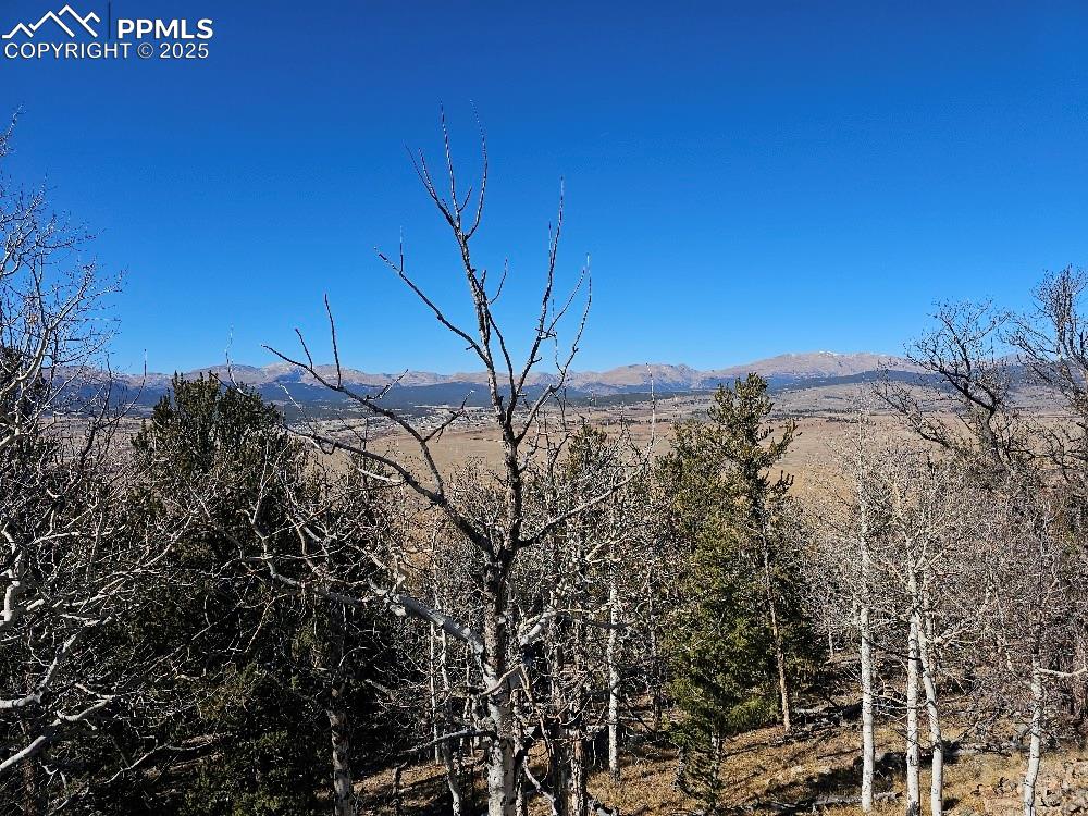 5585 Middle Fork Vista Fairplay CO 80440