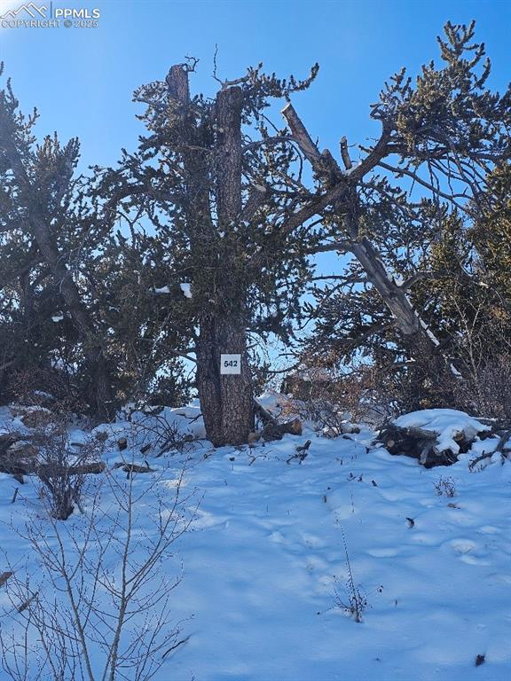 5585 Middle Fork Vista Fairplay CO 80440