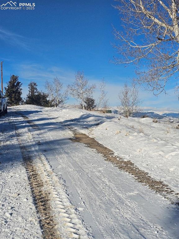 5585 Middle Fork Vista Fairplay CO 80440