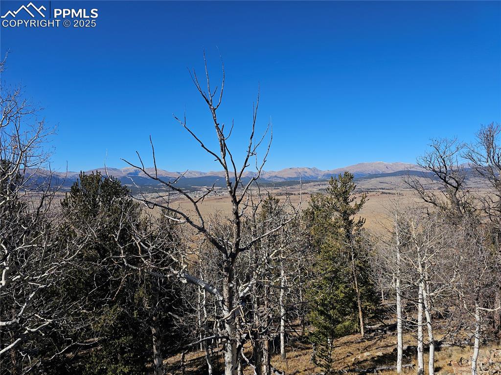 5585 Middle Fork Vista Fairplay CO 80440