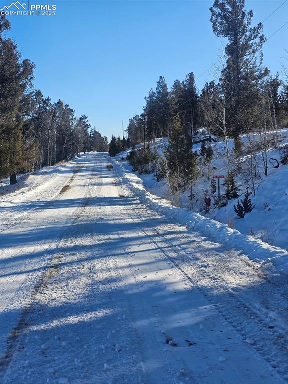5585 Middle Fork Vista Fairplay CO 80440