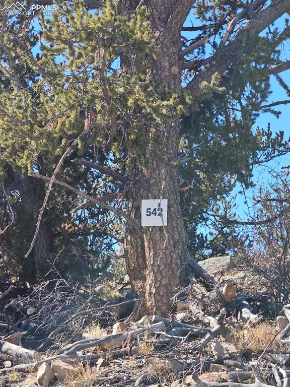 5585 Middle Fork Vista Fairplay CO 80440