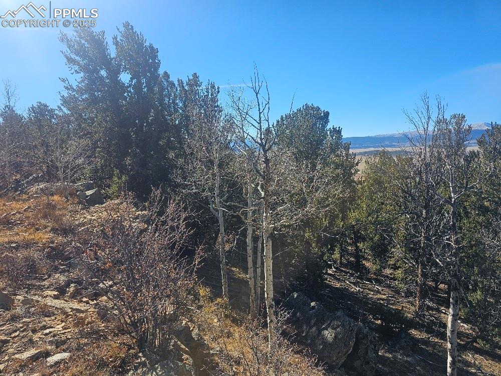 5585 Middle Fork Vista Fairplay CO 80440