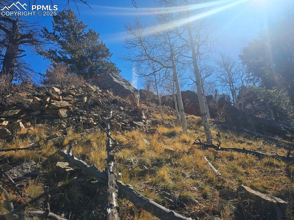 5585 Middle Fork Vista Fairplay CO 80440