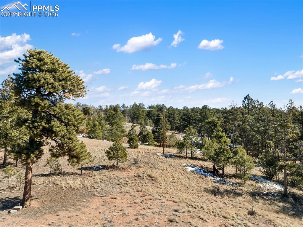 530 Columbine Road Florissant CO 80816
