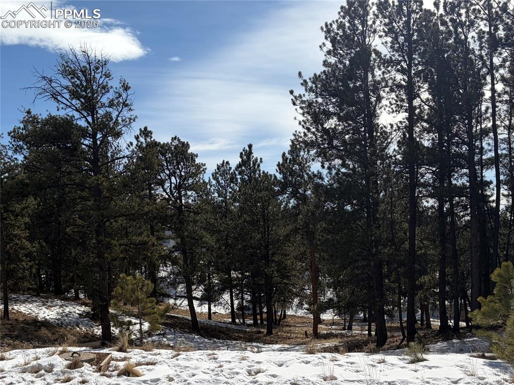 530 Columbine Road Florissant CO 80816