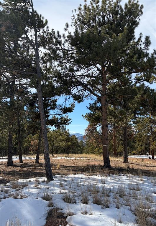 530 Columbine Road Florissant CO 80816