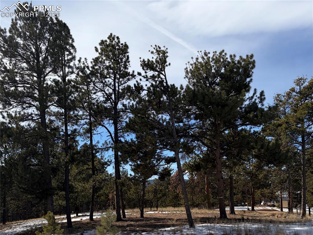530 Columbine Road Florissant CO 80816