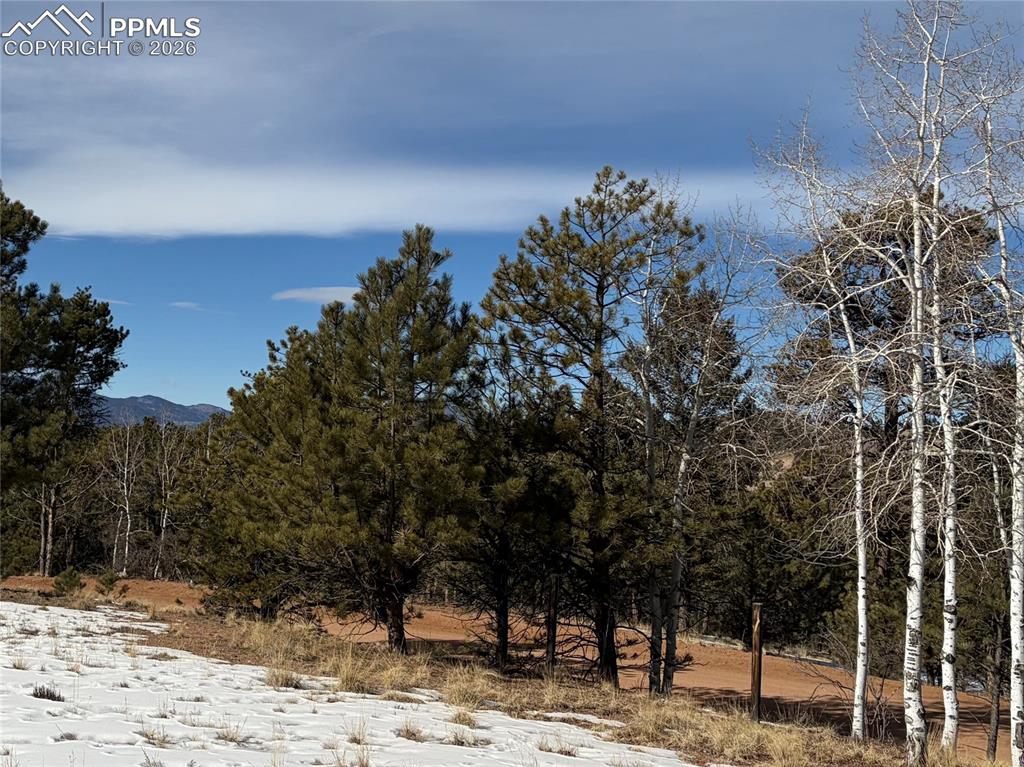 530 Columbine Road Florissant CO 80816
