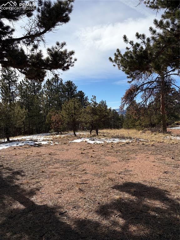 530 Columbine Road Florissant CO 80816