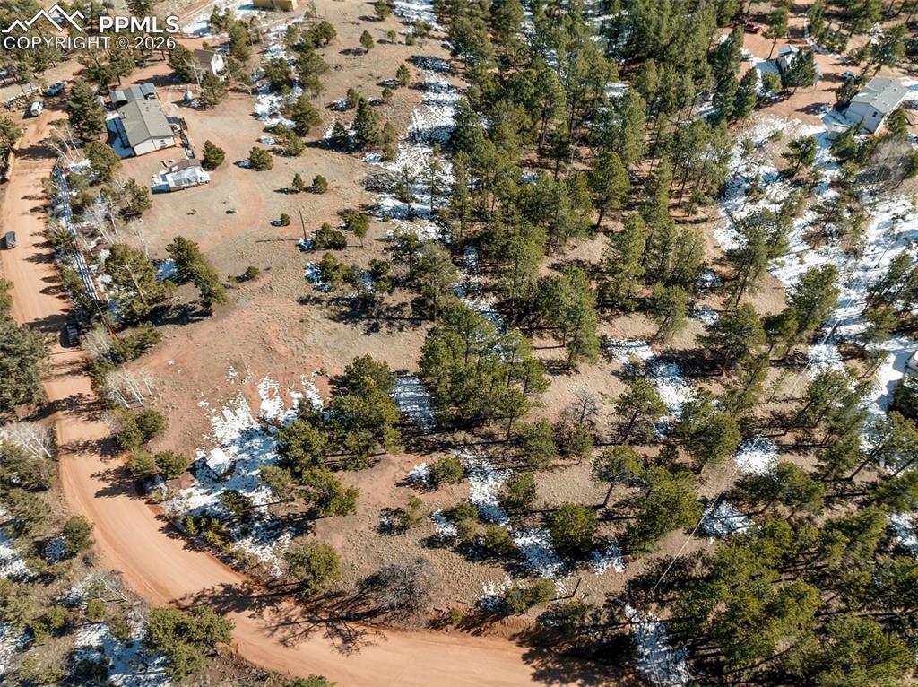 530 Columbine Road Florissant CO 80816