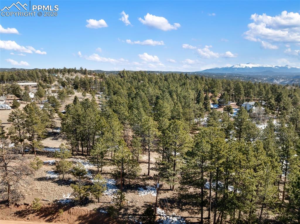 530 Columbine Road Florissant CO 80816