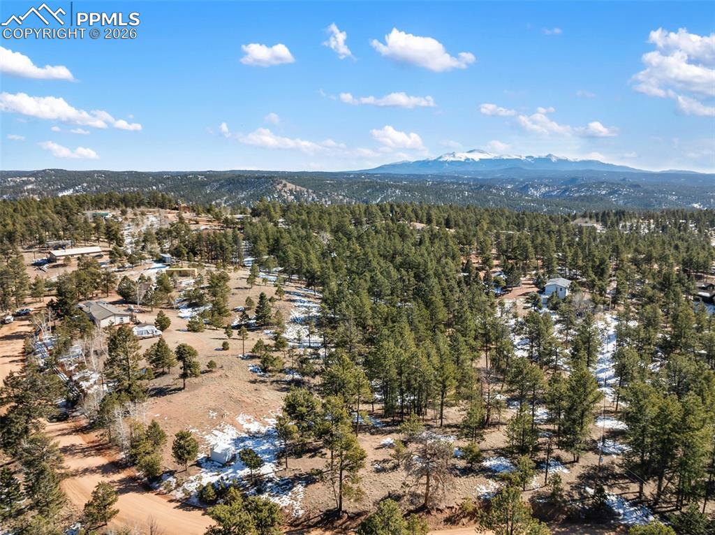 530 Columbine Road Florissant CO 80816