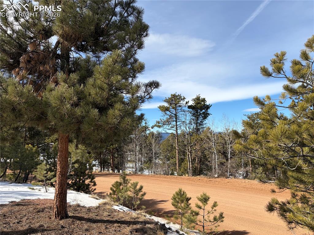 530 Columbine Road Florissant CO 80816