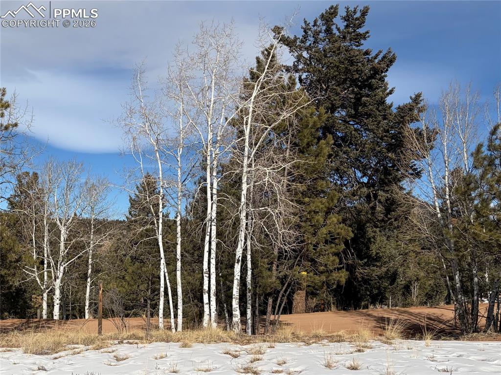 530 Columbine Road Florissant CO 80816