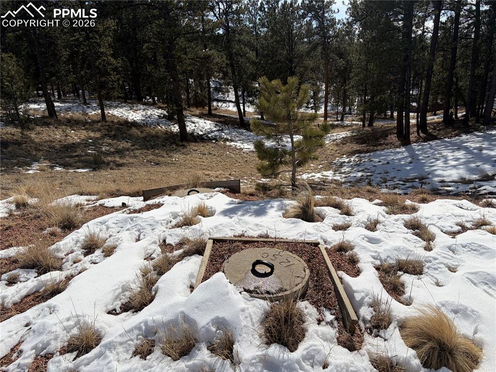 530 Columbine Road Florissant CO 80816