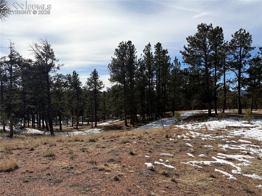 530 Columbine Road Florissant CO 80816