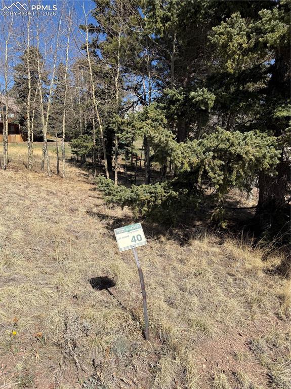 405 Meadow Park Drive Divide CO 80814