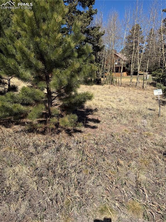 405 Meadow Park Drive Divide CO 80814