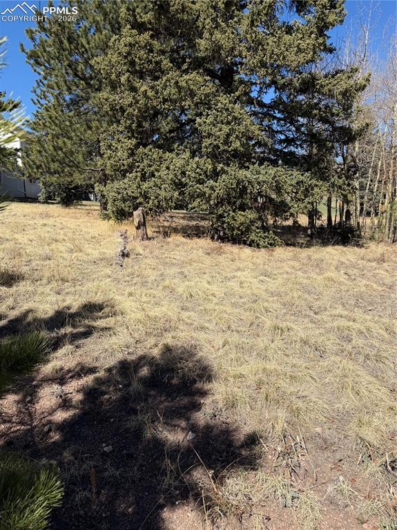 405 Meadow Park Drive Divide CO 80814