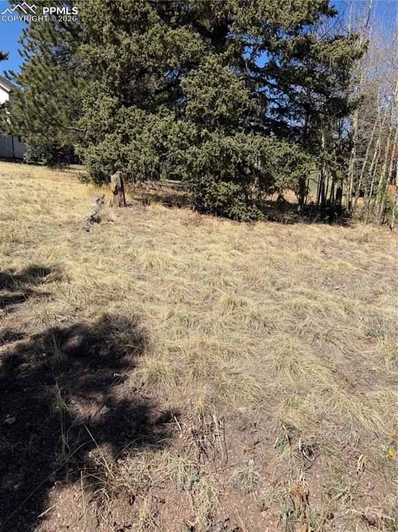 405 Meadow Park Drive Divide CO 80814